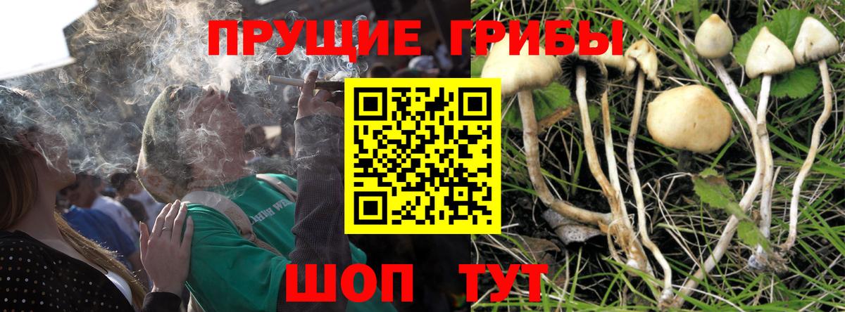 Галлюциногенные грибы мухоморы  Вход с VPN  Галлюциногенные грибы мухоморы  Сухой Лог 